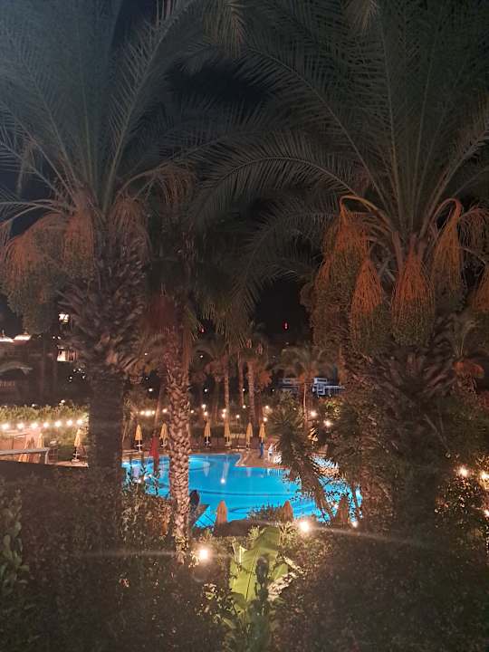 Pool Calimera Hane Garden