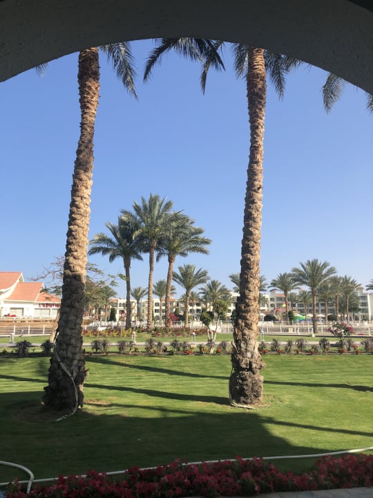 Außenansicht Pickalbatros Dana Beach Resort - Hurghada