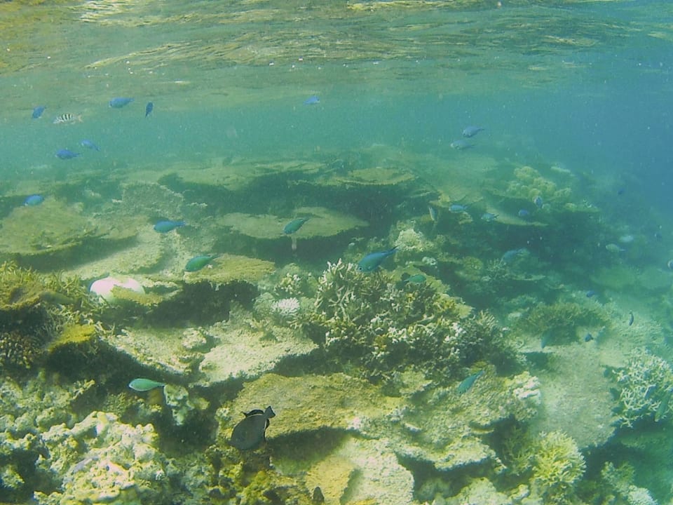 Hausriff Vilamendhoo Island Resort & Spa