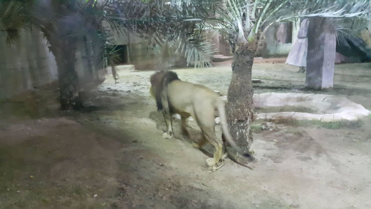 Zoo Hotel Emirates Park Resort