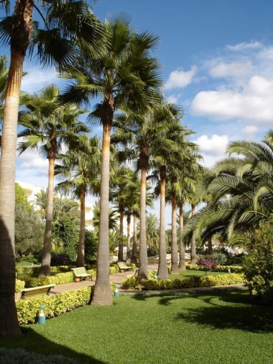 Gartenbereich Iberostar Selection Albufera Park