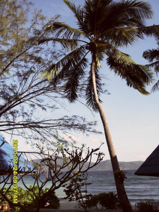 Meer Hotel Coral Island Resort