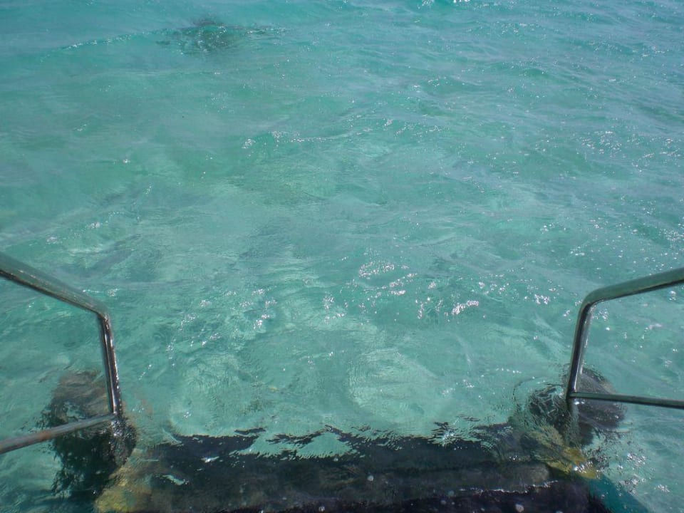 Vom Steg III Hotel Sheraton Soma Bay Resort