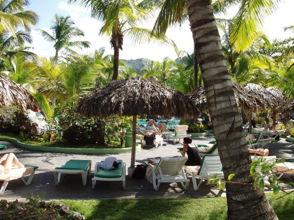 am Pool Playabachata Hotel