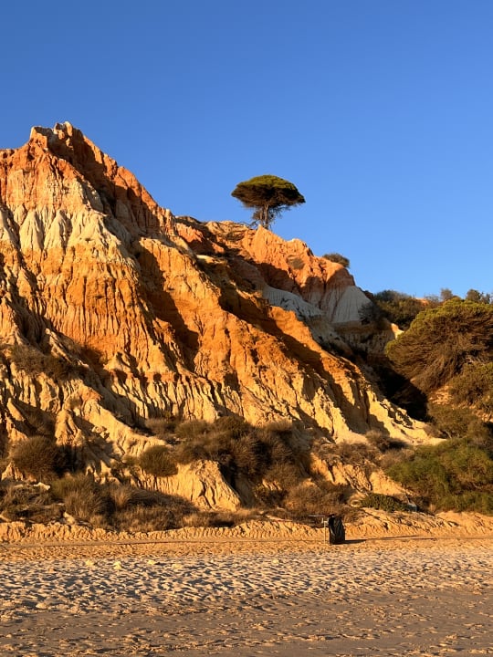 Strand PortoBay Falésia