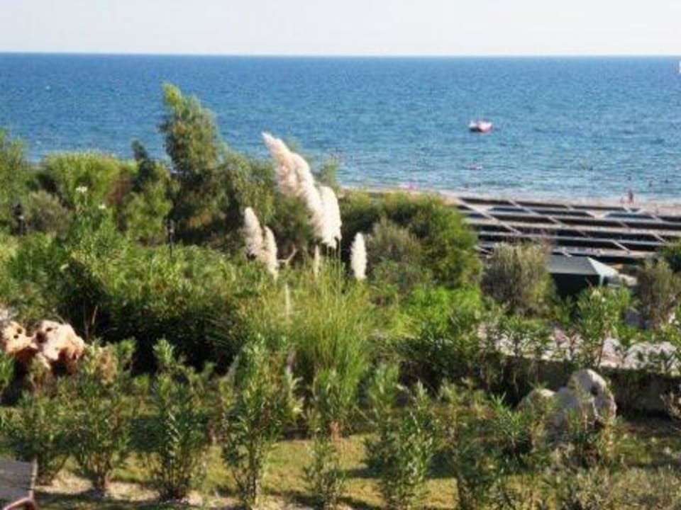 Blick auf das Meer Alba Resort Hotel