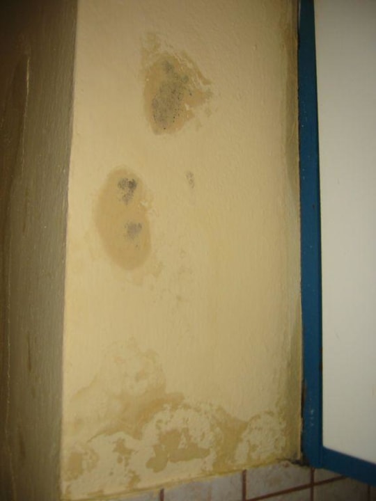Horror-Schimmel an der Wand! Castello Village Resort