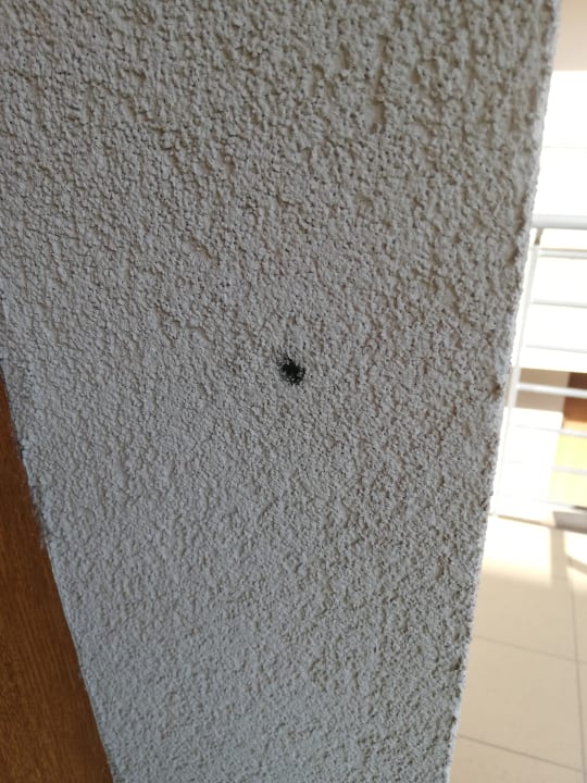 Außenansicht Maple Tree Budget Apartments