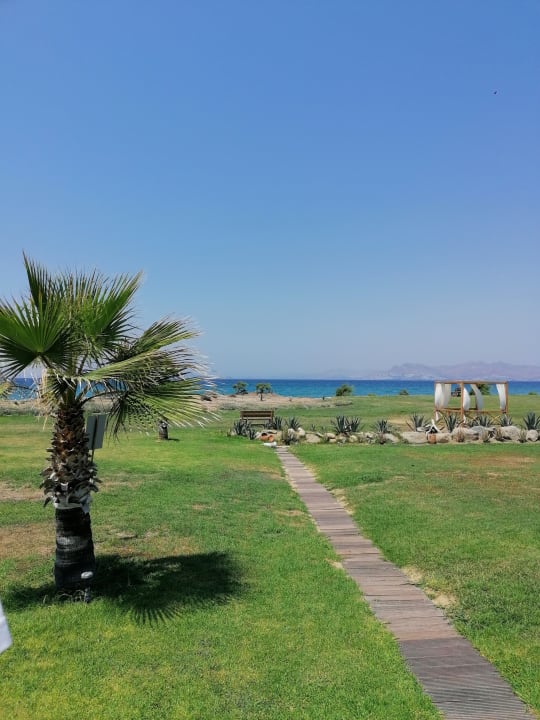 Gartenanlage Astir Odysseus Kos Resort & Spa