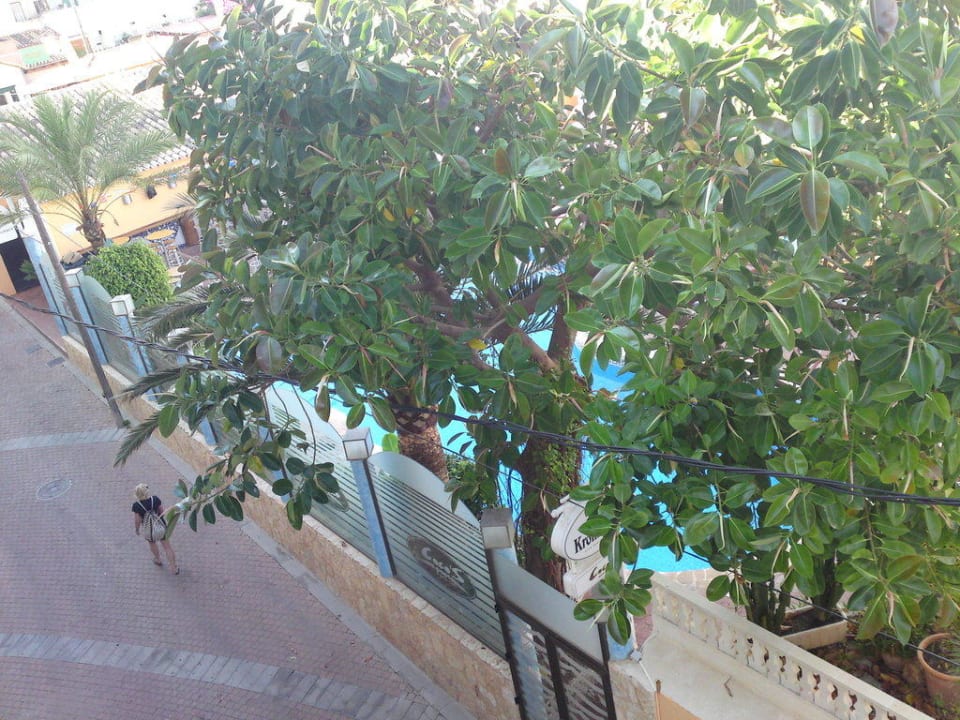 Ausblick vom Balkon Hotel Port Corona