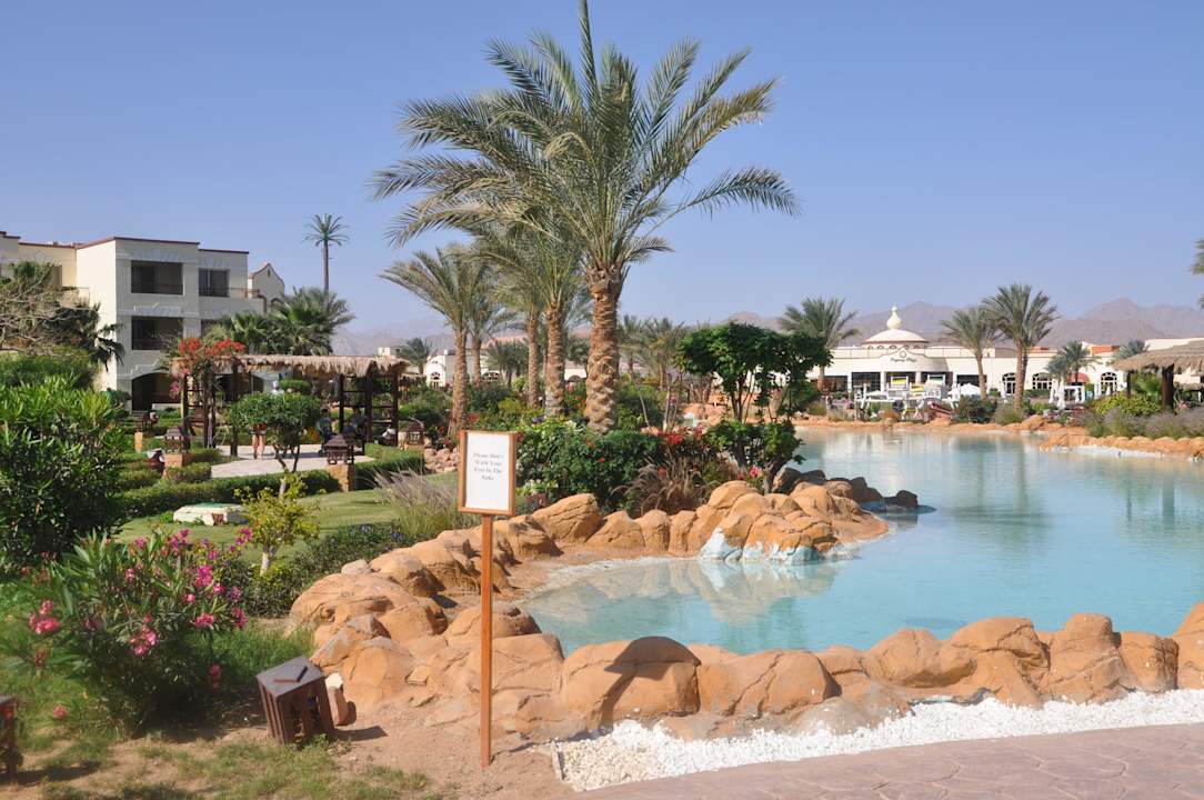 Ogród Regency Plaza Aqua Park & Spa