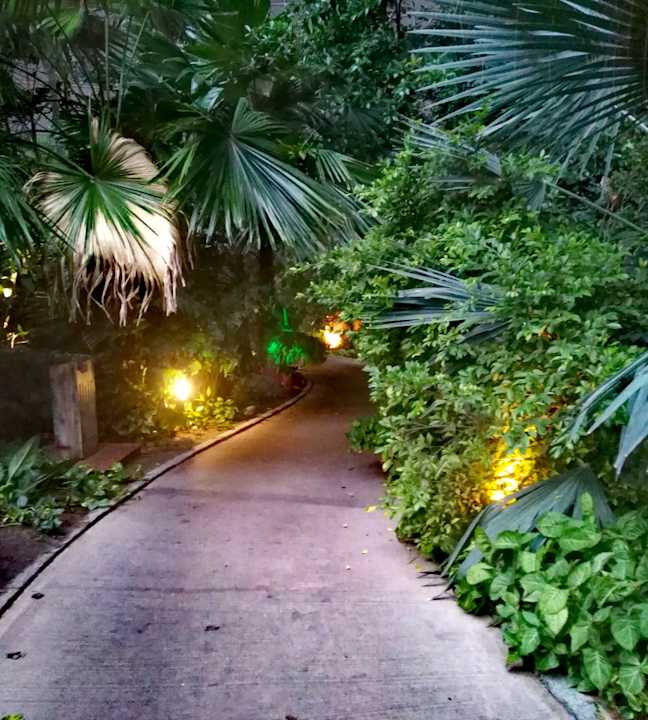 Gartenanlage Tropical Islands Resort