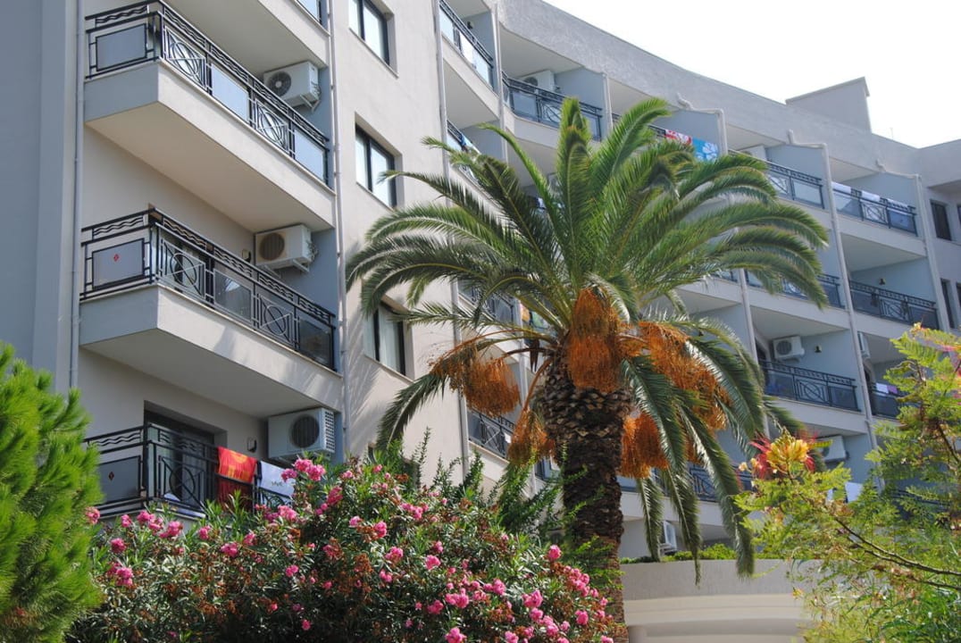 Palmy w ogrodzie hotelowym. Tusan Beach Resort