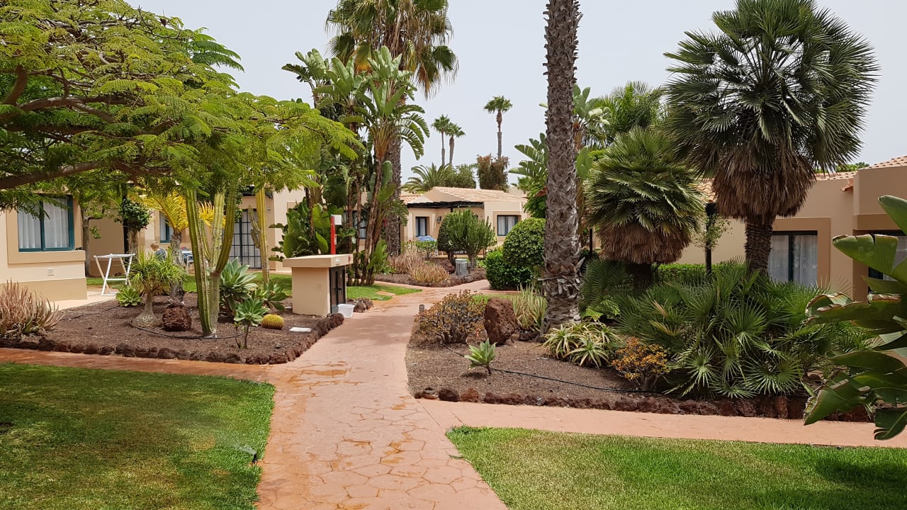 Gartenanlage allsun Hotel Esplendido