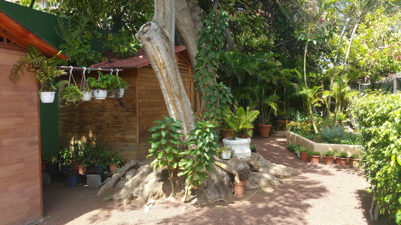 Gartenanlage Bahia Principe Sunlight San Felipe