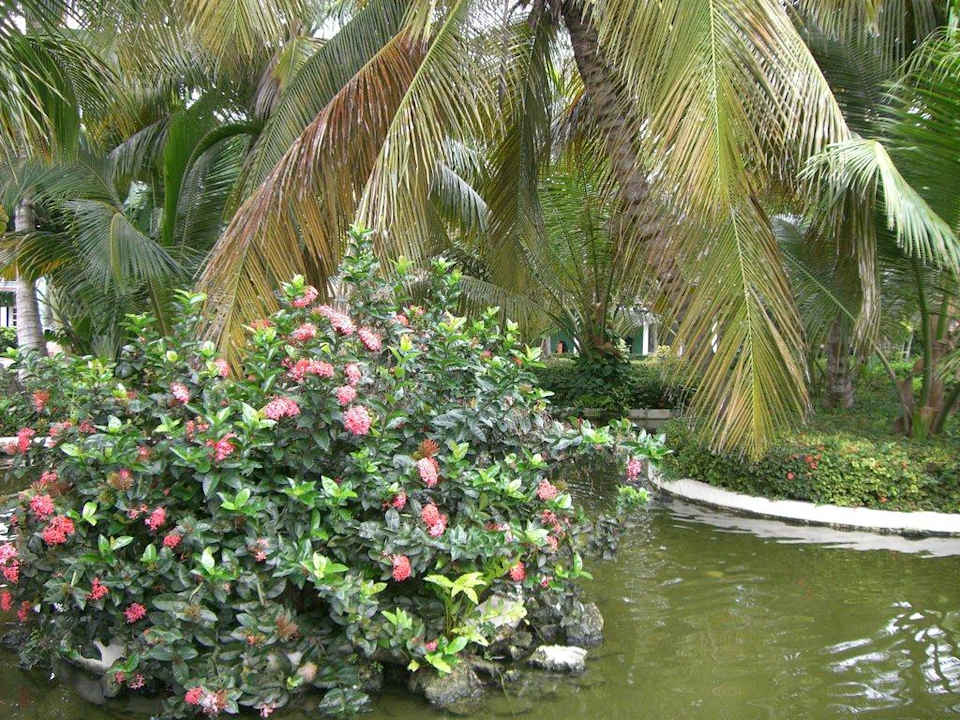 Teich Grand Palladium Select Bávaro Resort & Spa