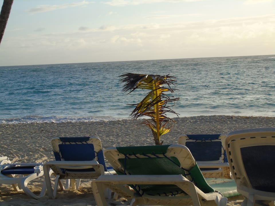 Strand Hotel Riu Palace Macao - Adults only