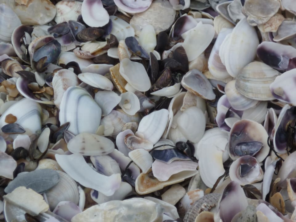 Strand Duni Royal Pelican Resort