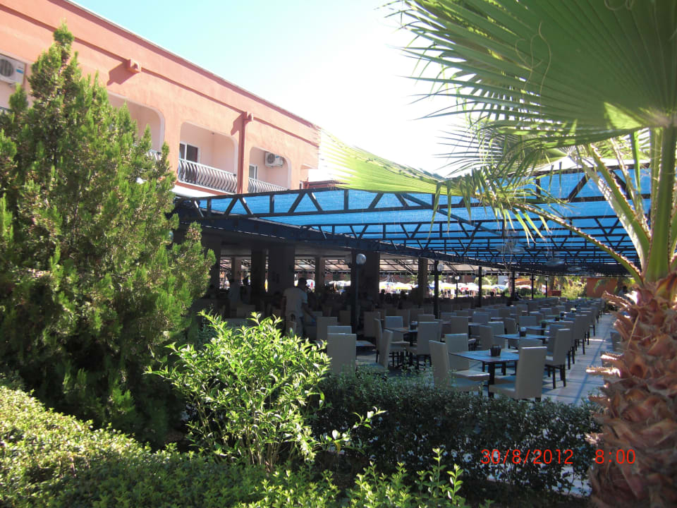 Restaurant Club Turtas Beach Hotel