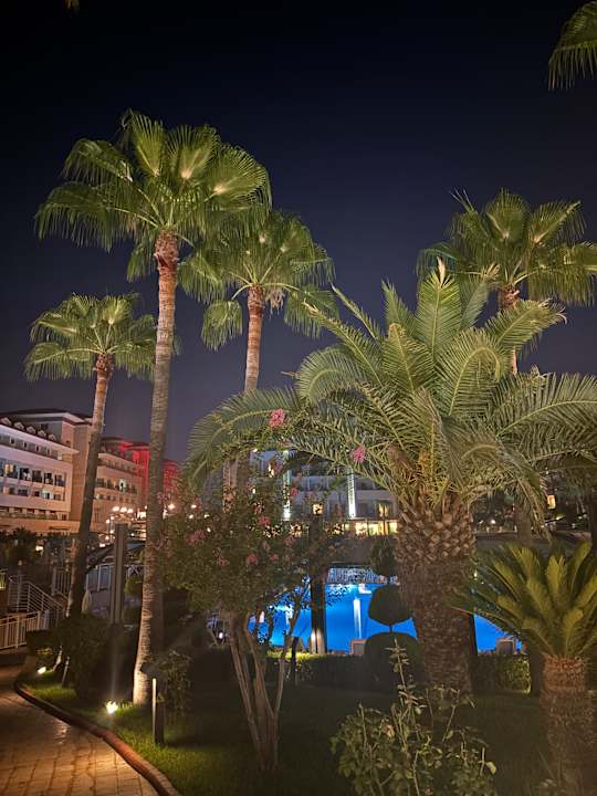 Pool Aydinbey Kings Palace & Spa