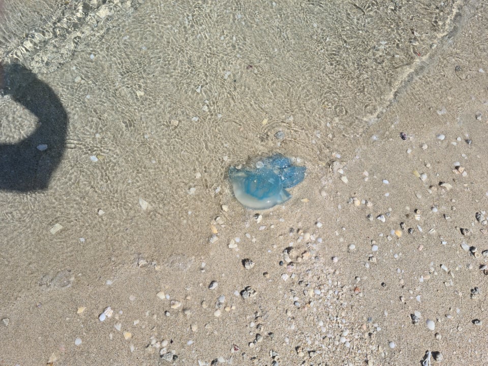 Strand Centara Mirage Beach Resort Dubai - A World of Family Fun