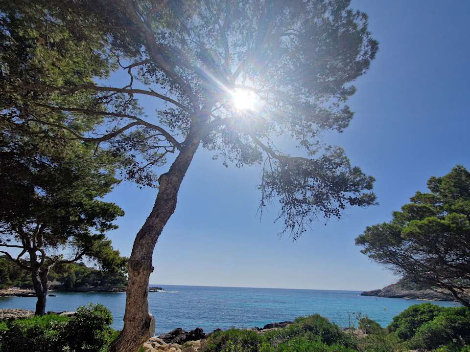 Ausblick Iberostar Waves Pinos Park