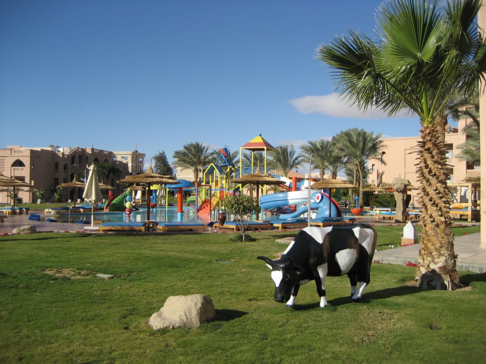 Sport & Freizeit Pickalbatros Aqua Park Resort - Hurghada
