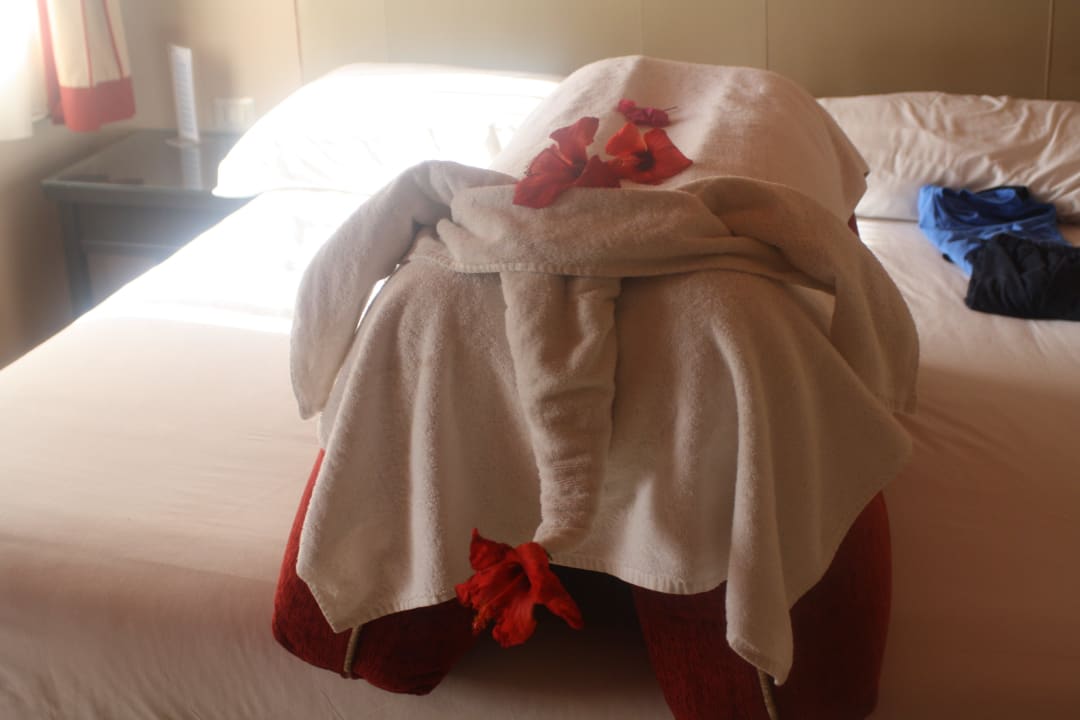 Jeden Tag eine neue Überraschung Jaz Makadi Oasis Resort