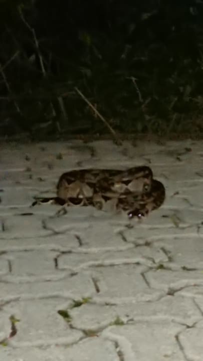 Sonstiges Grand Palladium Kantenah Resort & Spa