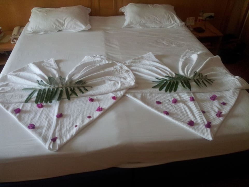 Dankeschön vom Zimmermädchen Alba Resort Hotel