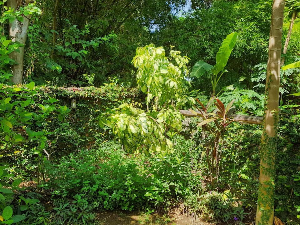 Außenansicht Saraswati Holiday House