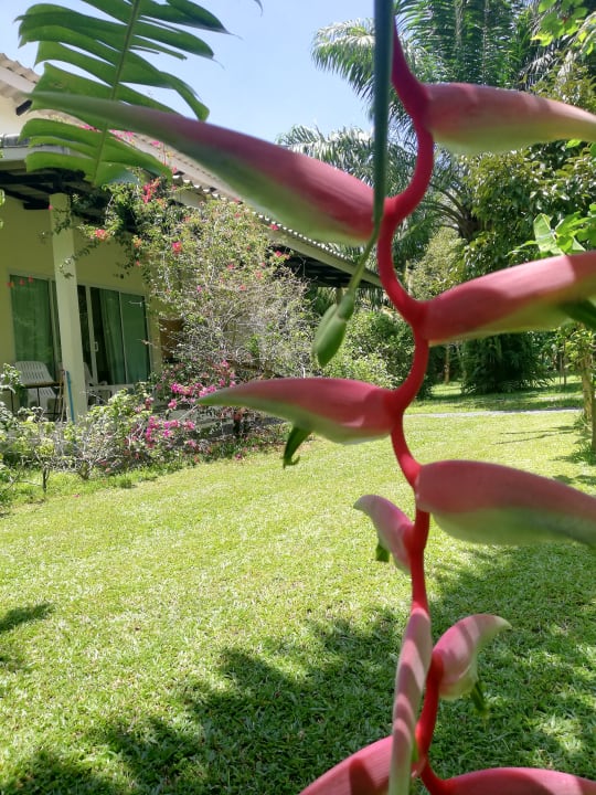 Gartenanlage Aathid Garden Khao Lak