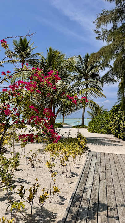 Strand Cinnamon Hakuraa Huraa Maldives