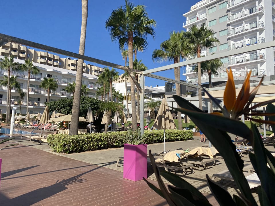 Außenansicht Hotel Riu Nautilus - Adults only