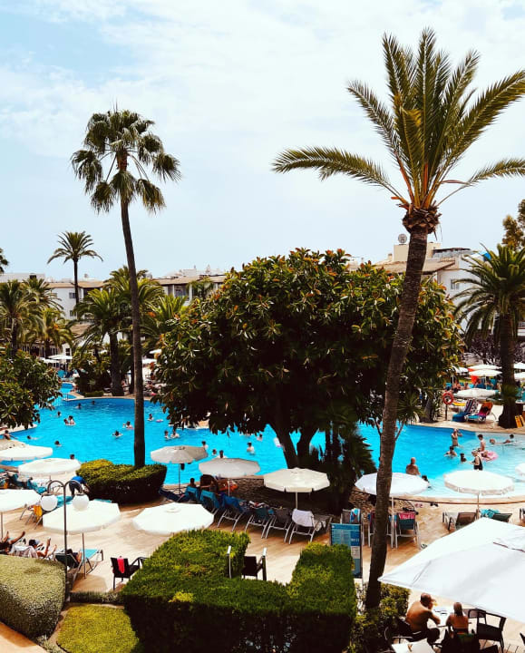 Pool Alcudia Garden Aparthotel