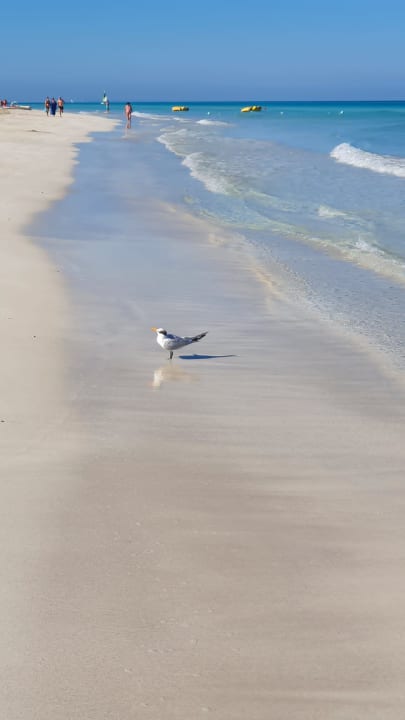 Strand Paradisus Varadero Resort & Spa