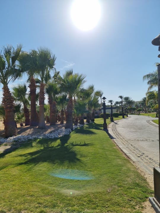 Gartenanlage Steigenberger Aqua Magic