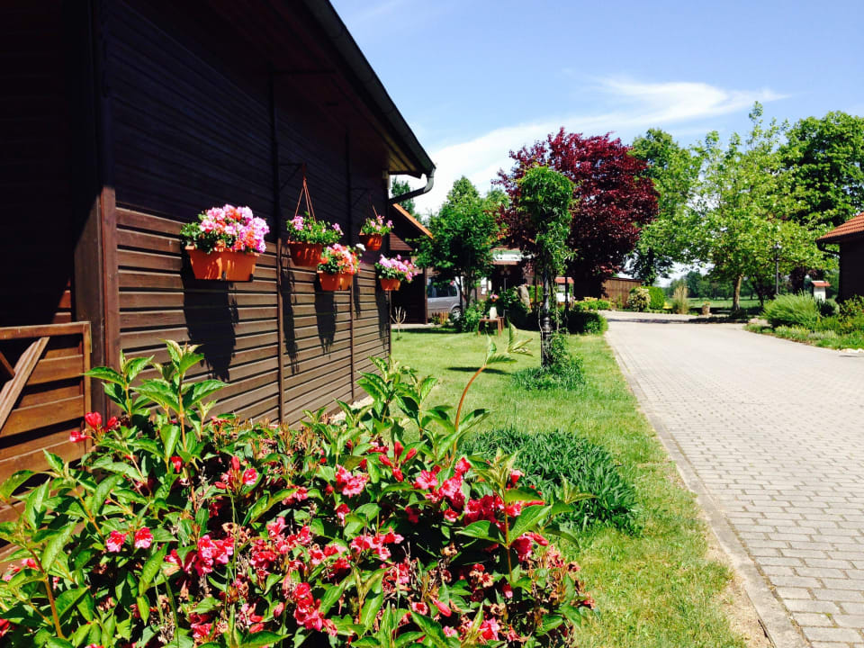 Studios mit Terrasse Hotel & Restaurant Zur Spreewälderin