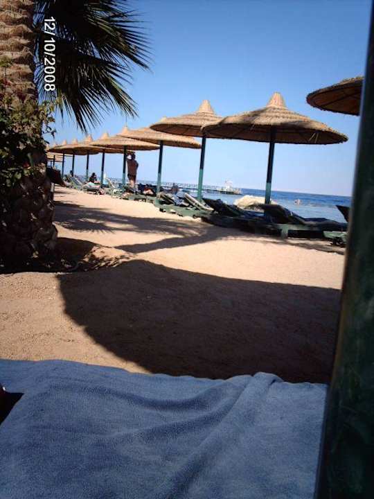 Teil des Strandes mit Liegen und Schirmen Hotel Hauza Beach Resort