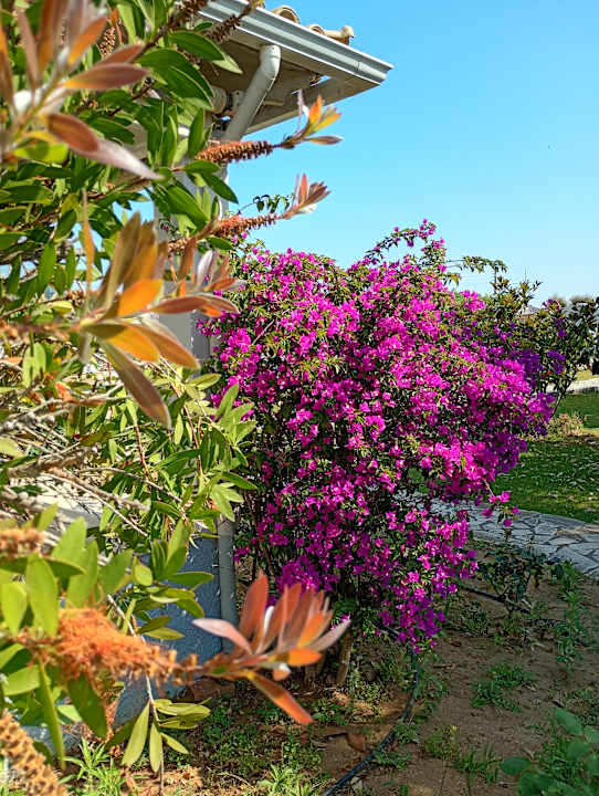 Außenansicht Hotel Albatros