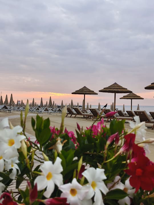 Strand Villaggio San Francesco Mobile Homes by Happy Camp