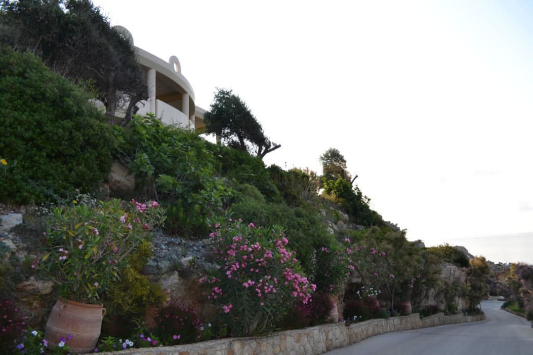 Wygląd zewnętrzny hotelu Hotel Kalithea Horizon Royal