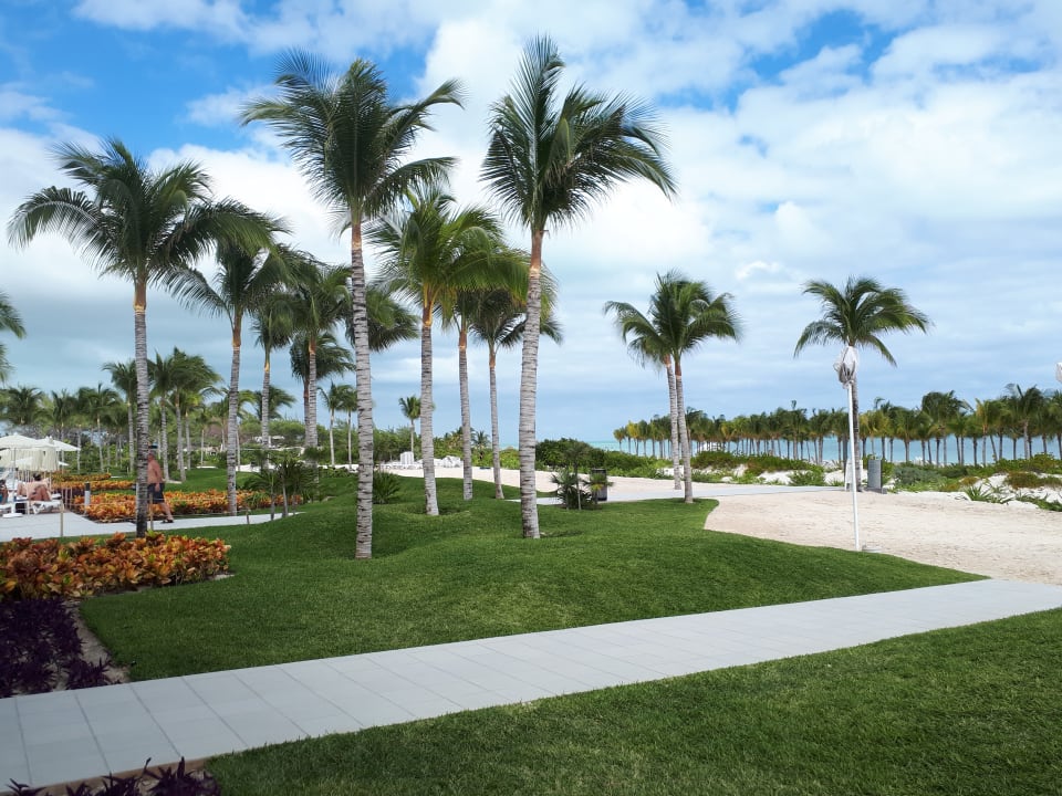 Garten Hotel Riu Dunamar