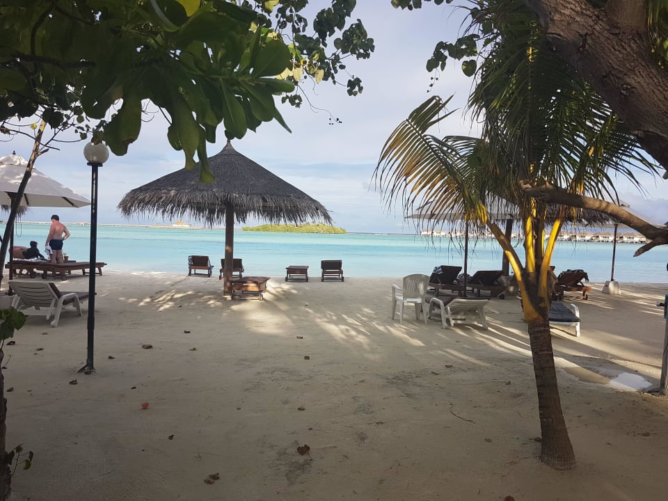 Blick von der Terrasse Beach-Bungalow Cinnamon Dhonveli Maldives