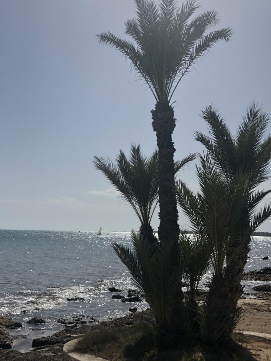 Strand Hotel El Mouradi Djerba Menzel