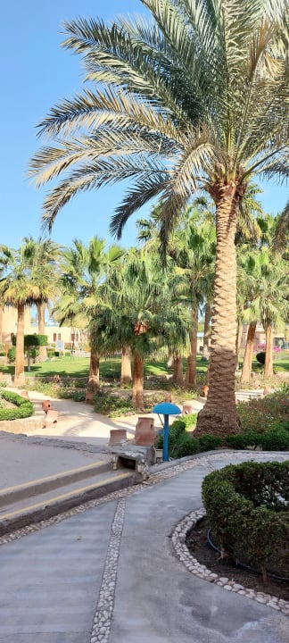 Gartenanlage Club Paradisio El Gouna, Red Sea