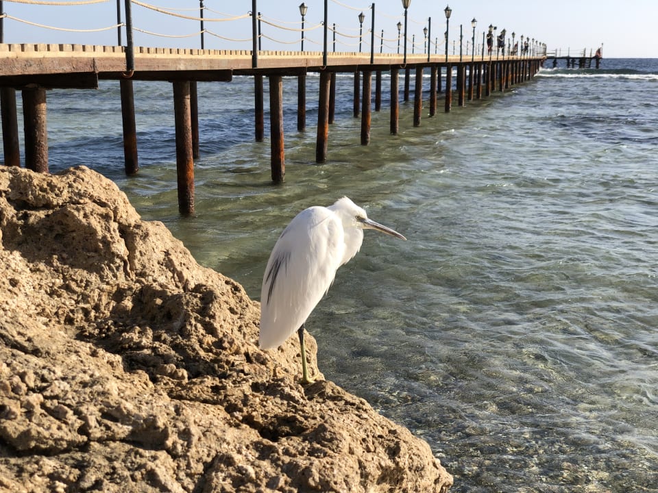 Sonstiges Bliss Nada Beach Resort