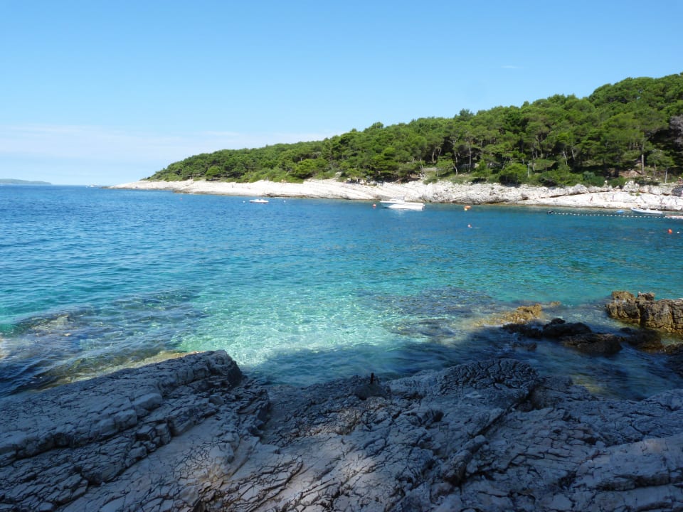 Liegeplatz Hotel Aurora
