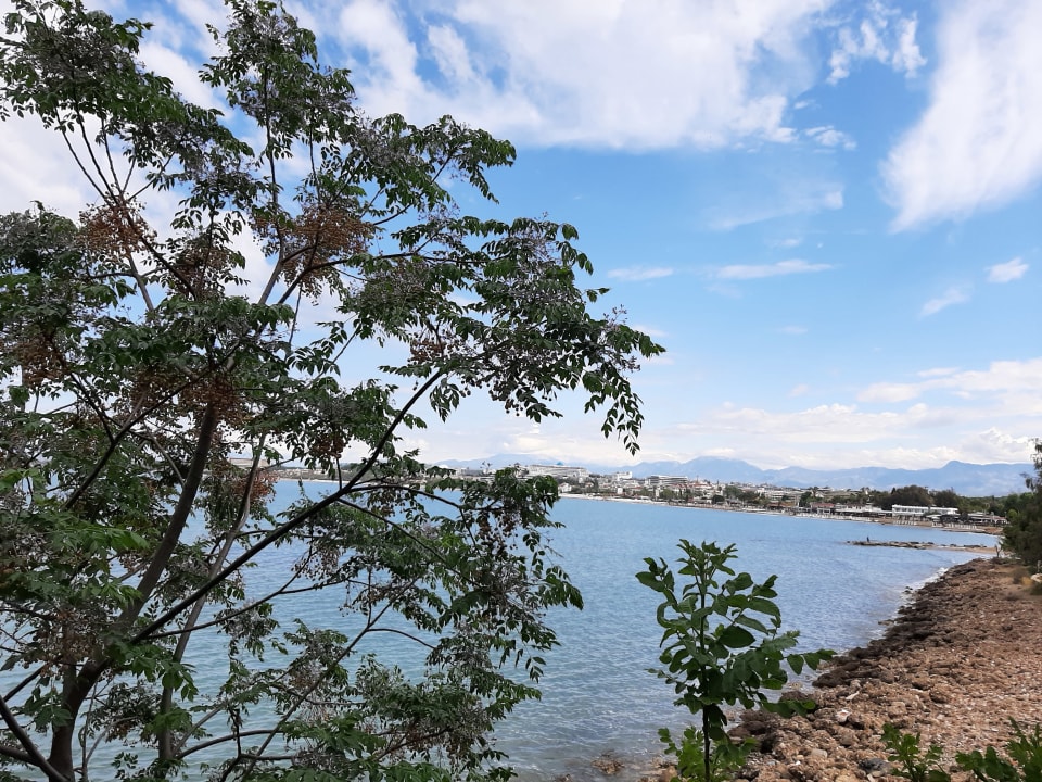 Strand Can Garden Beach