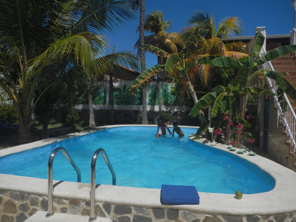 Pool unter Palmen Posada Alemania